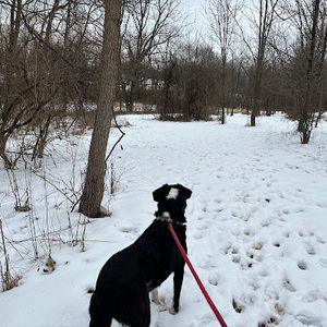 Meet your Posher, Joseph